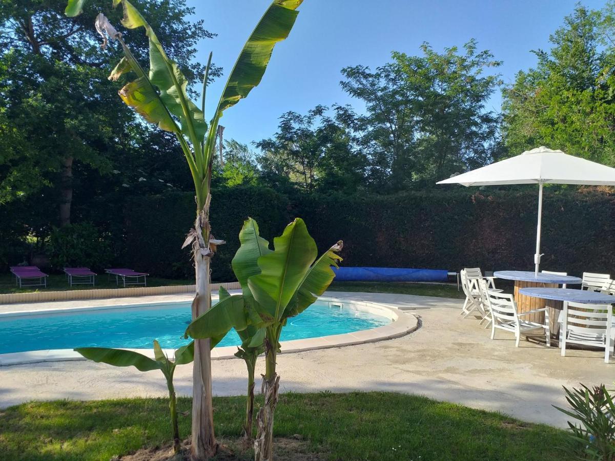 Chez Celine Et Philippe Chambre Marie Dans Propriete De Charme Avec Piscine Le Fossat Ngoại thất bức ảnh